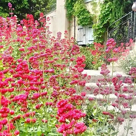 Nocleg ze śniadaniem La Maison De Marguerite